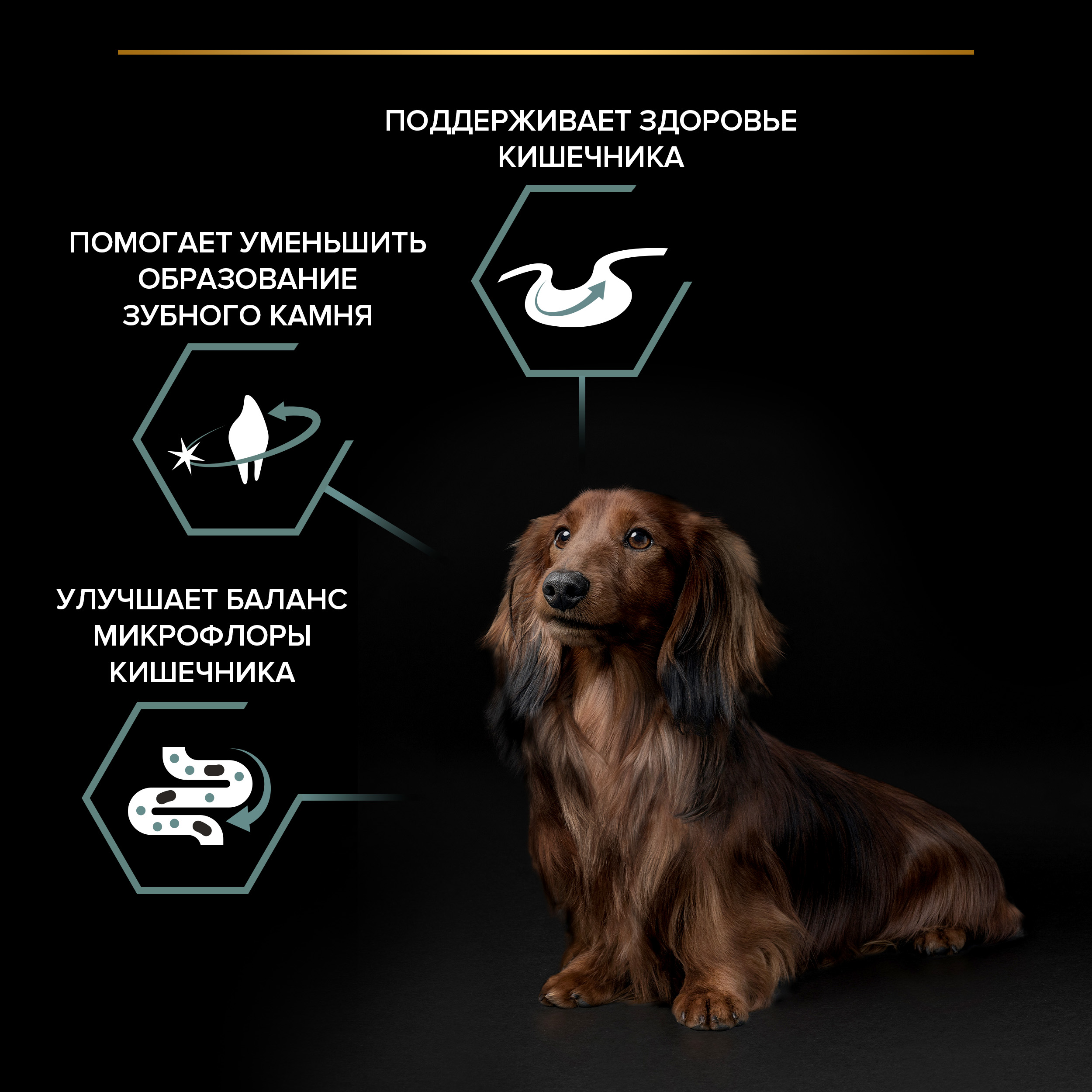 Сухой корм PRO PLAN® для взрослых собак мелких и карликовых пород с чувствительным пищеварением, с высоким содержанием ягненка 2,5 кг + 500 г в подарок