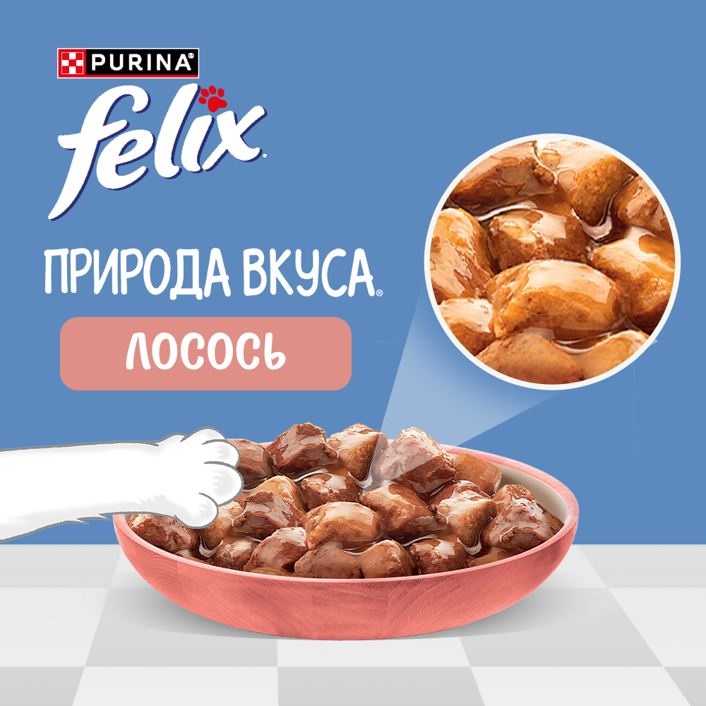 Влажный корм FELIX® Природа вкуса для кошек с лососем в соусе 75 г х 26 шт