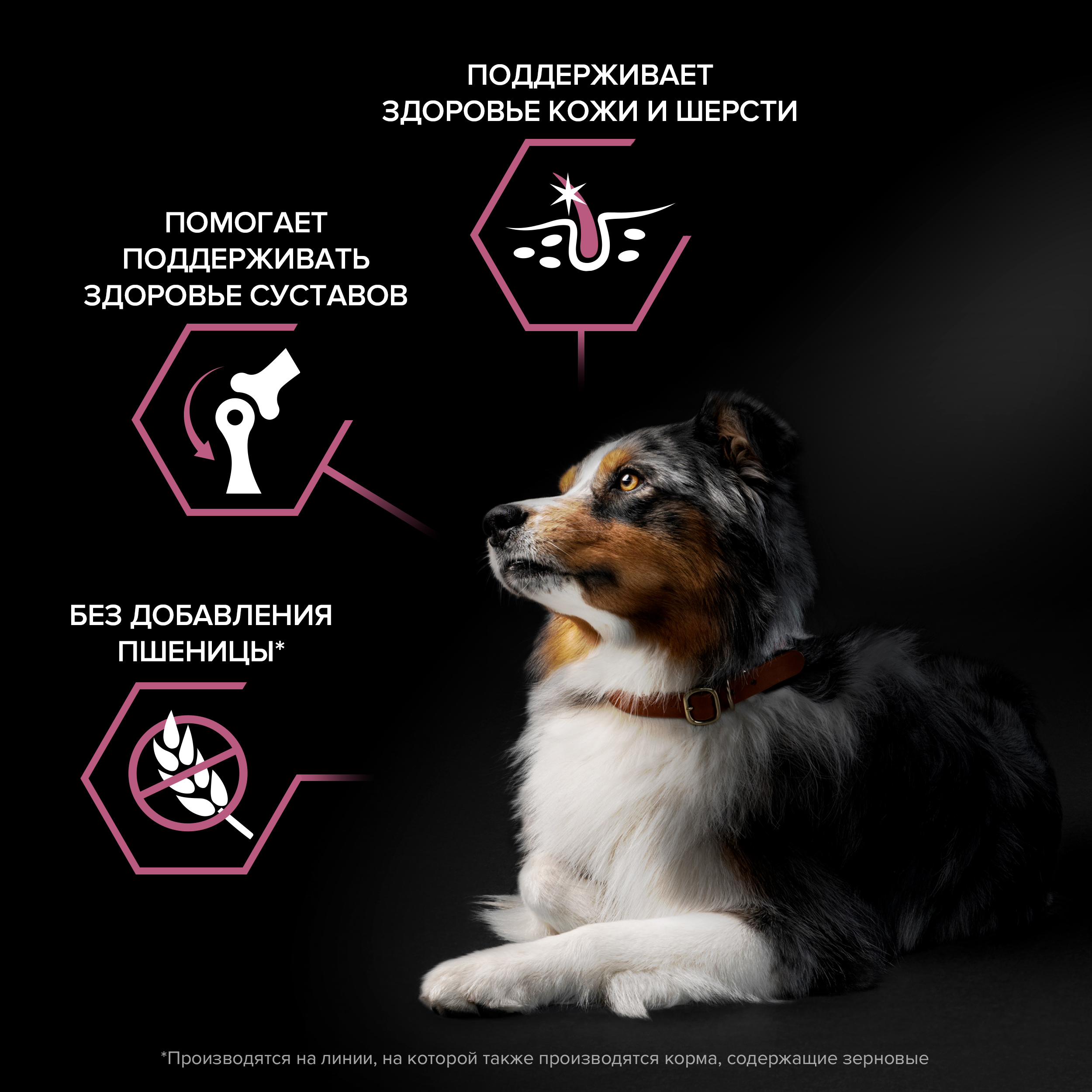 Сухой корм PRO PLAN® SENSITIVE SKIN для взрослых собак средних пород с чувствительной кожей с лососем, 14 кг