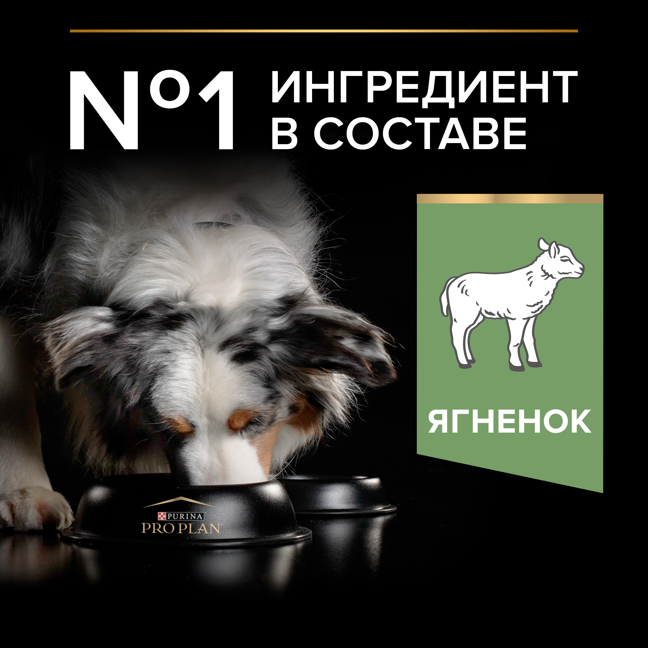 Сухой корм PRO PLAN® SENSITIVE DIGESTION для взрослых собак средних пород с чувствительным пищеварением с ягненком, 14 кг