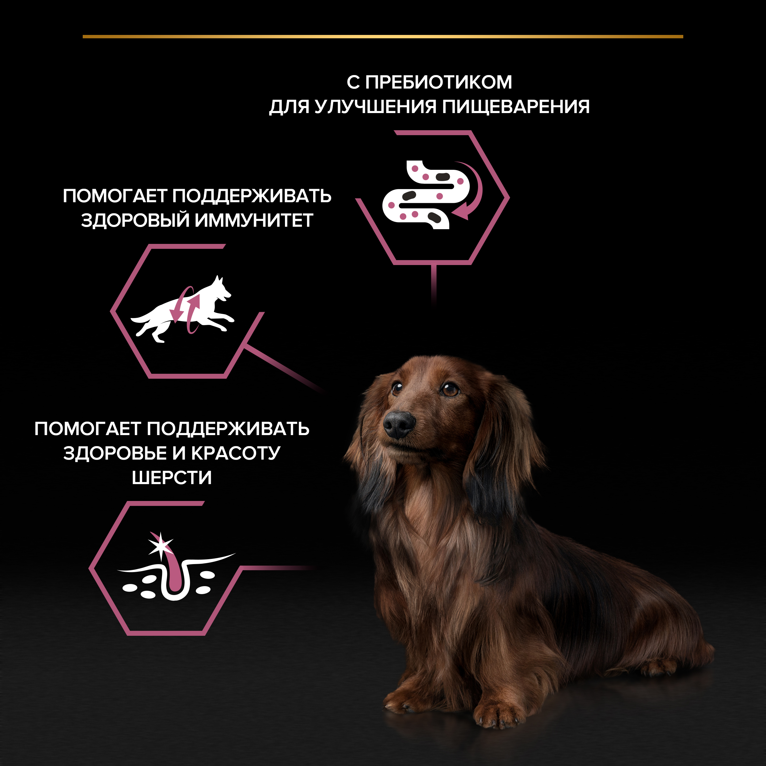 Влажный корм PRO PLAN® SENSITIVE SKIN для взрослых собак мелких и карликовых пород с чувствительной кожей с лососем, 85 г х 26 шт