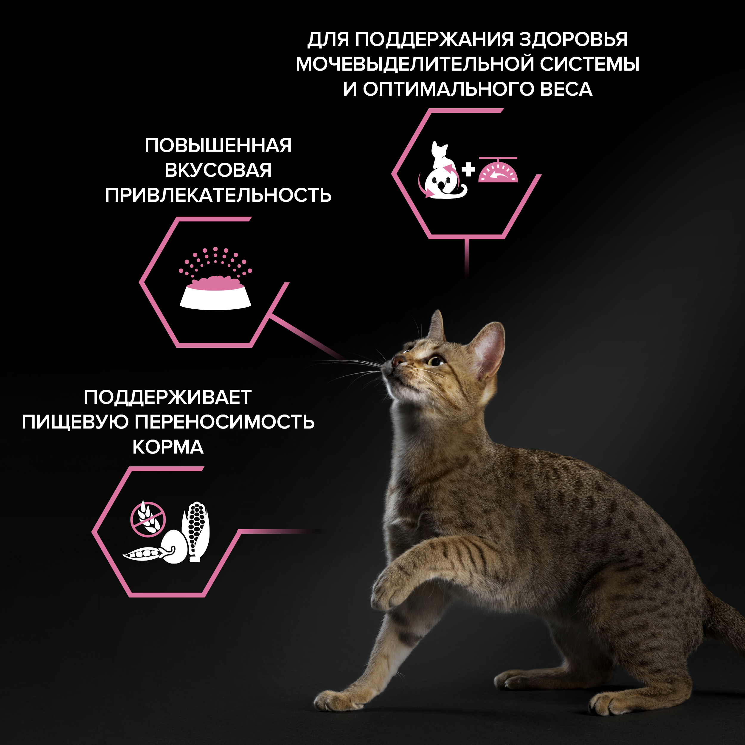Сухой корм PRO PLAN® Sterilised DELICATE DIGESTION для взрослых стерилизованных кошек с чувствительным пищеварением с курицей, 400 г