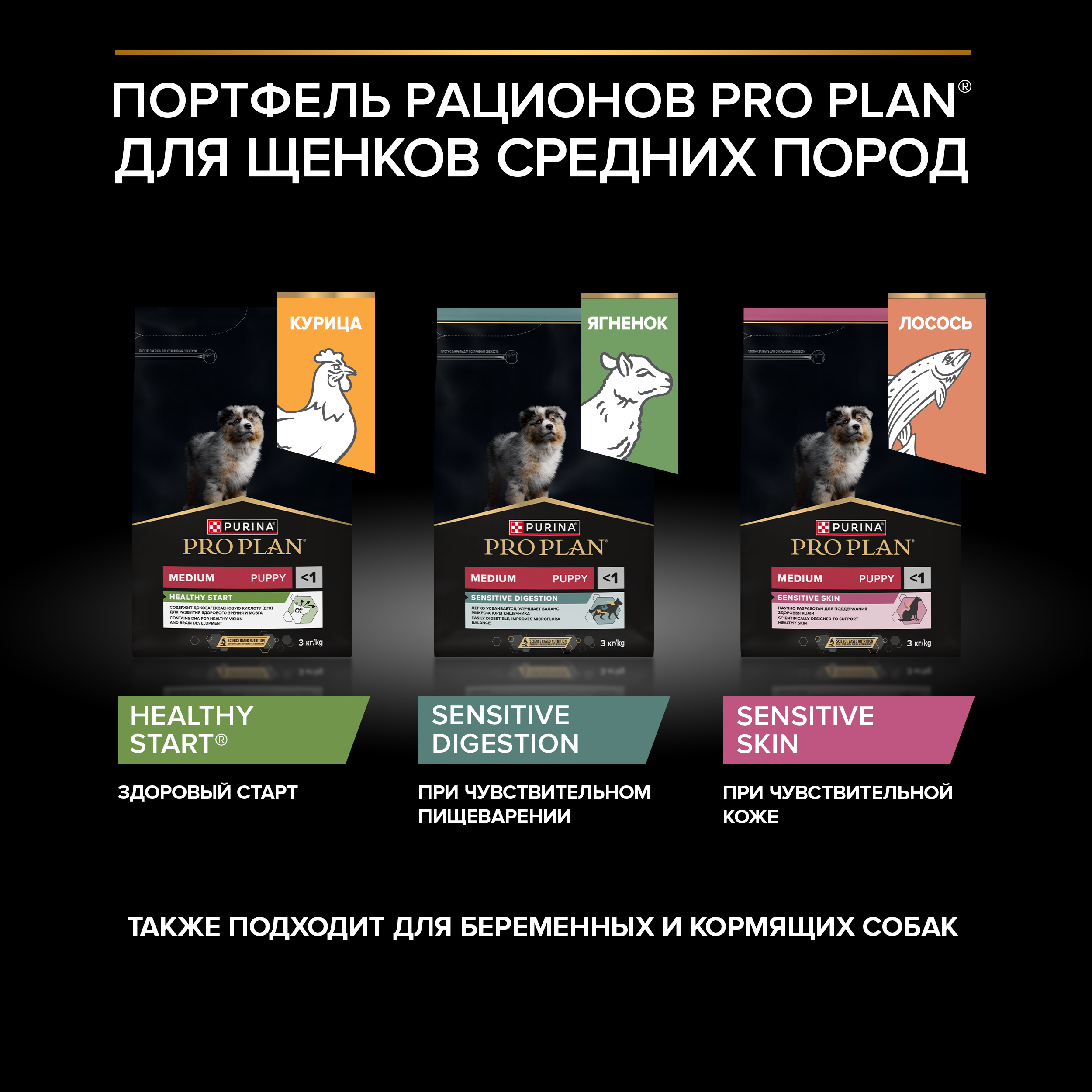 Сухой корм PRO PLAN® HEALTHY START® для щенков средних пород, c курицей, 3 кг