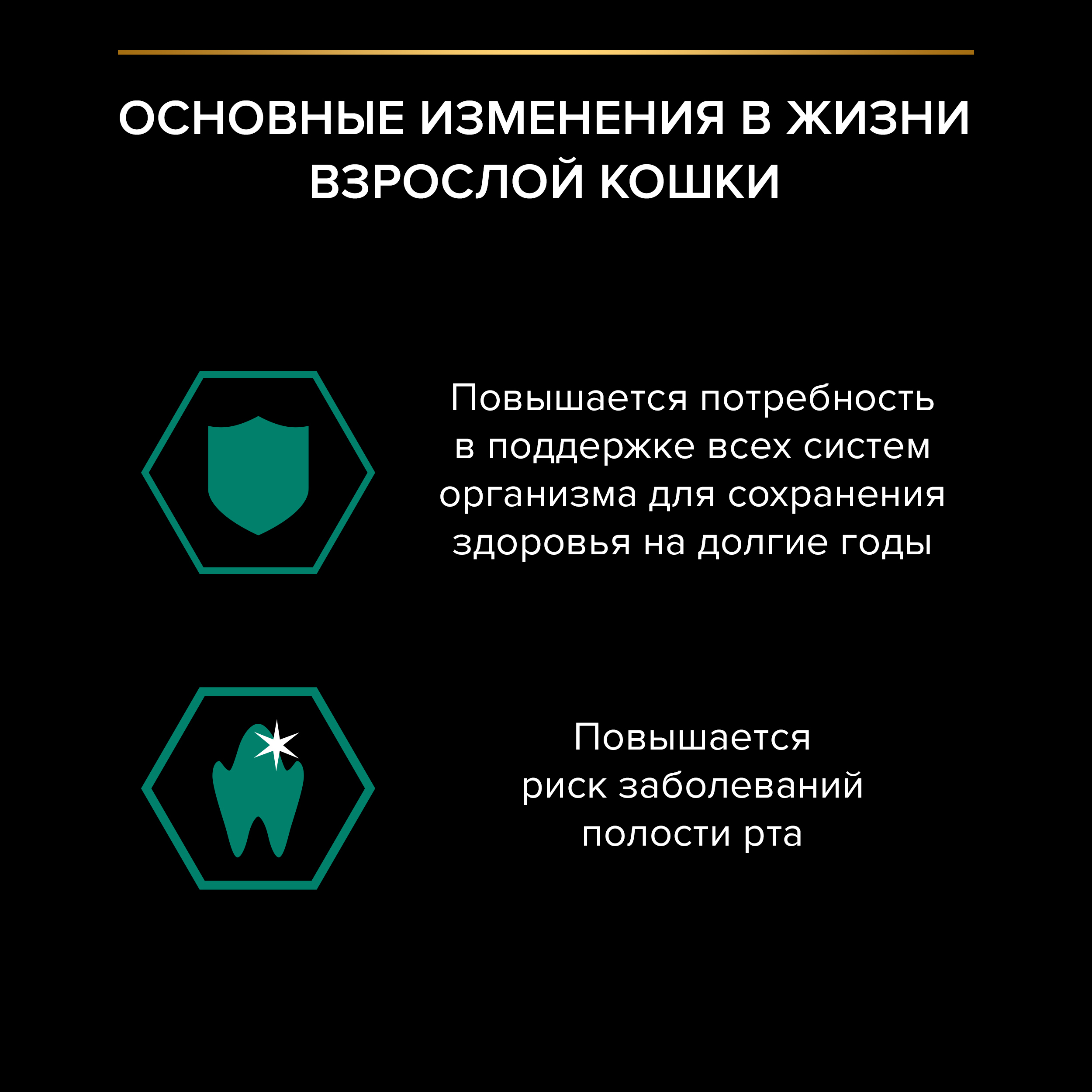 Влажный корм PRO PLAN® MAINTENANCE для взрослых кошек с индейкой в желе, с уткой в соусе, с ягненком в желе 85 г х 40 шт.