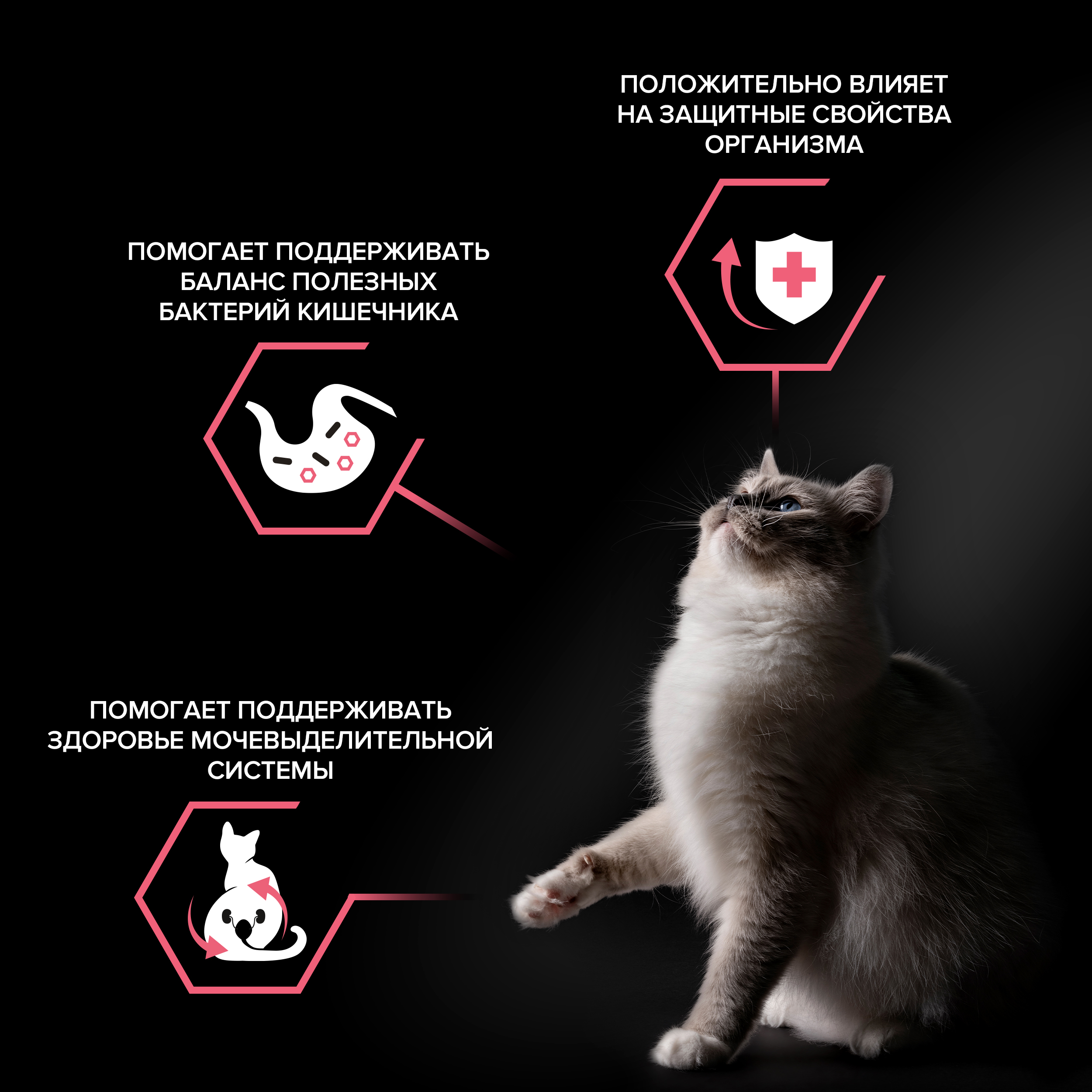 Сухой корм PRO PLAN® Nature Elements STERILISED для стерилизованных кошек с курицей, 400 г