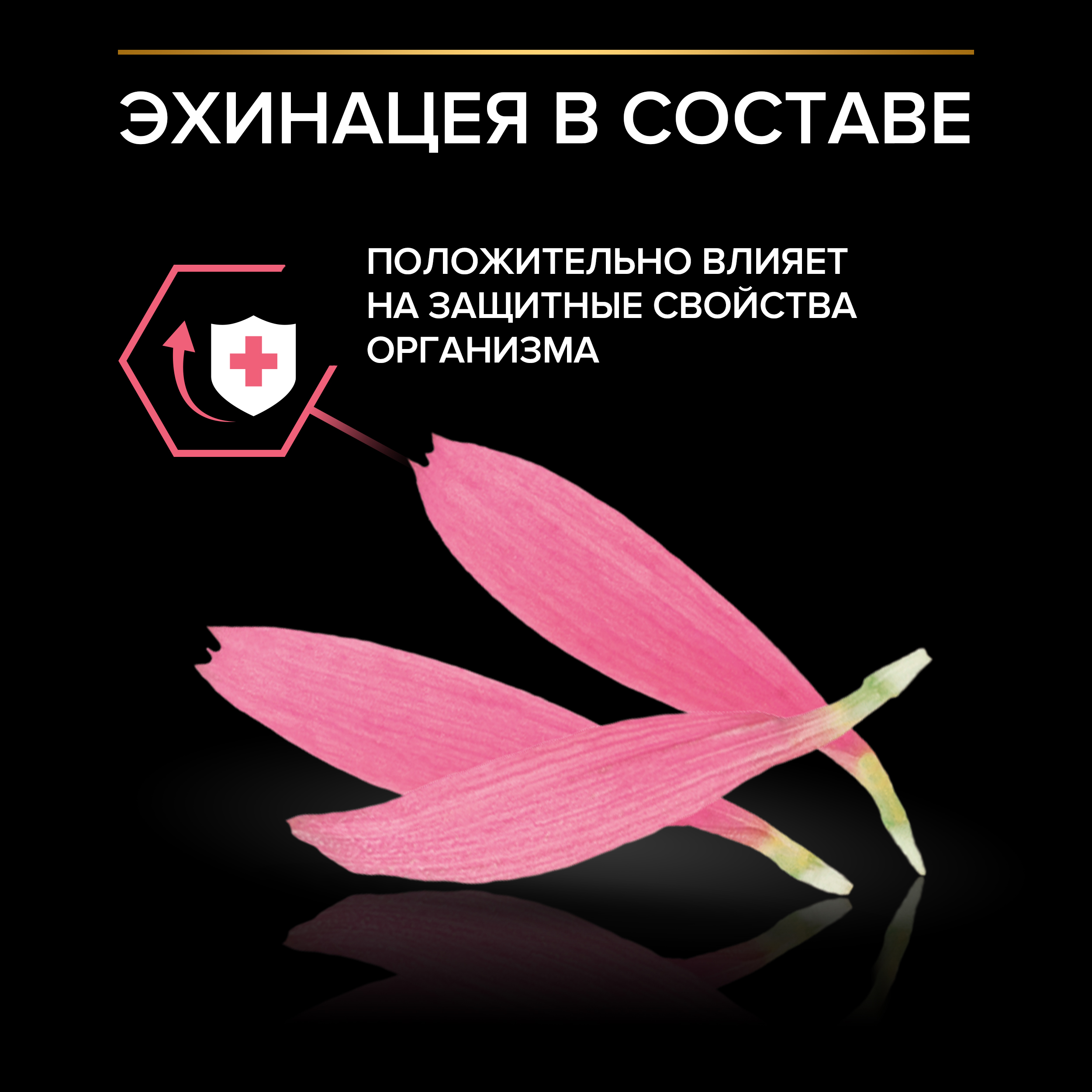 Сухой корм PRO PLAN® Nature Elements STERILISED для стерилизованных кошек с курицей, 400 г