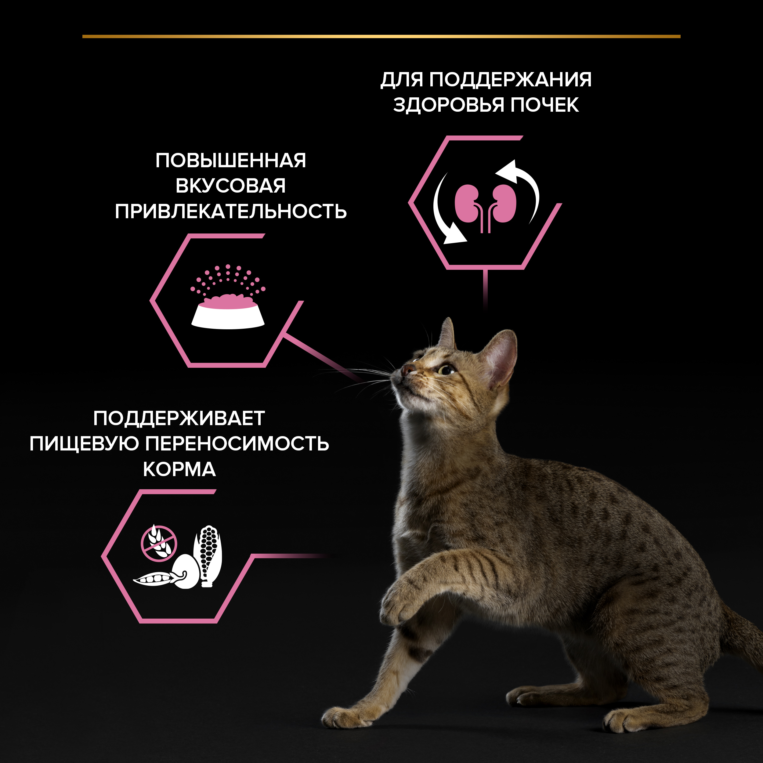 Сухой корм PRO PLAN® DELICATE DIGESTION для кошек для чувствительного пищеварения с индейкой 400 г