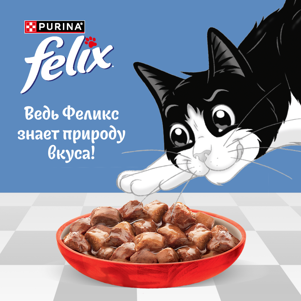 Влажный корм FELIX® Природа вкуса для кошек, с говядиной в соусе 75 г х 26 шт