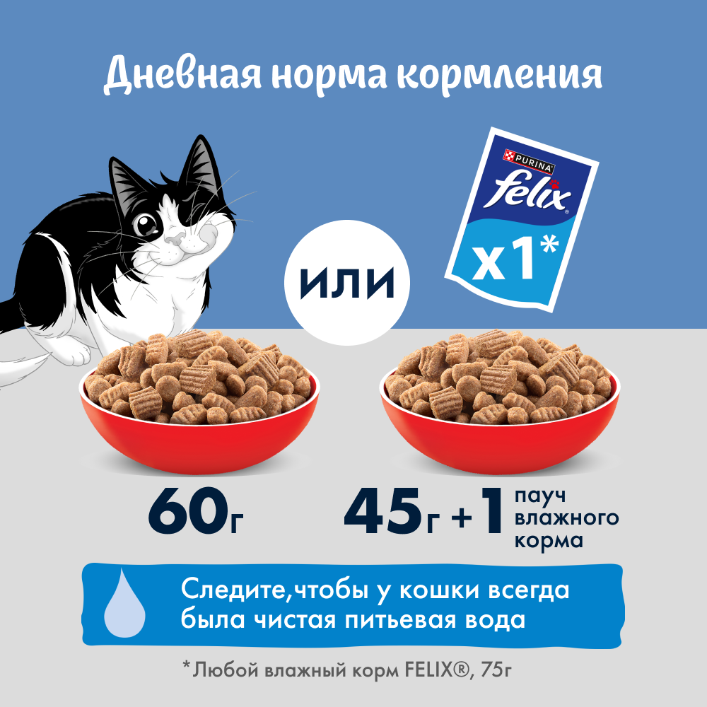 Влажный корм FELIX® Природа вкуса для кошек, с говядиной в соусе 75 г х 26 шт