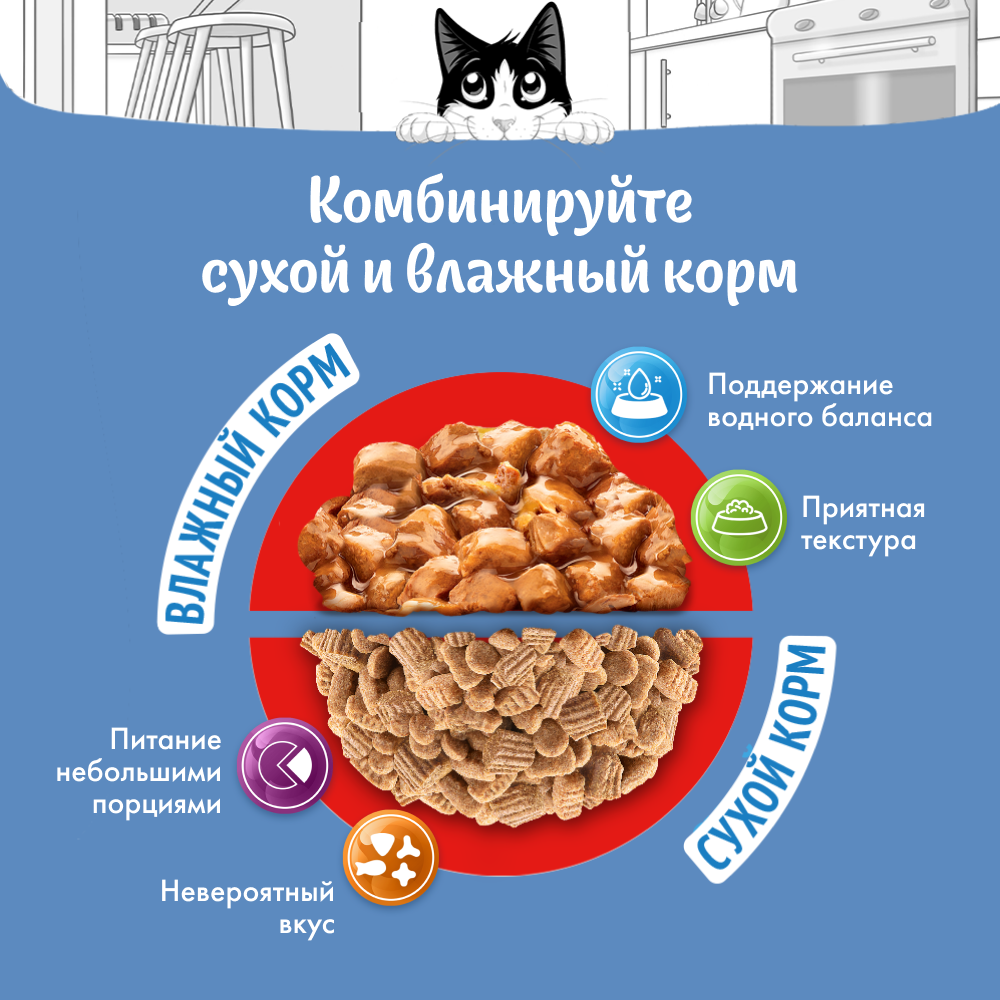 Влажный корм FELIX® Природа вкуса для кошек, с говядиной в соусе 75 г х 26 шт