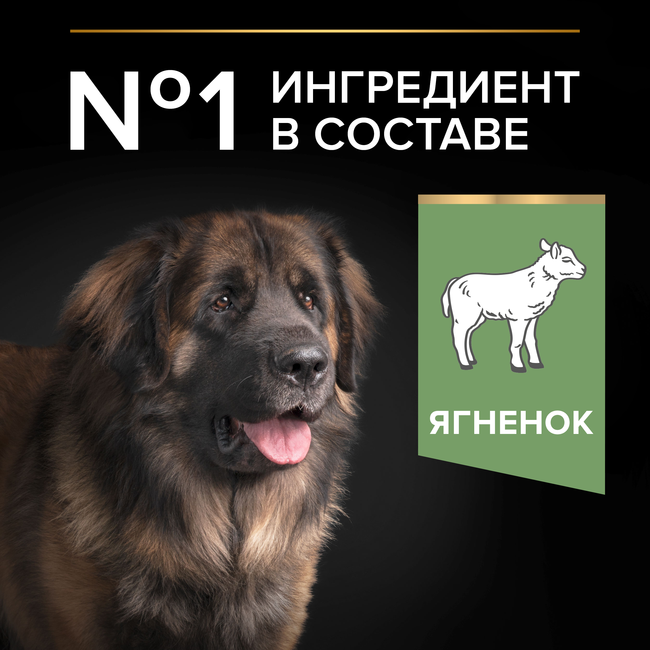 Сухой корм PRO PLAN® SENSITIVE DIGESTION для взрослых собак крупных пород с мощным телосложением с чувствительным пищеварением с ягненком, 14 кг