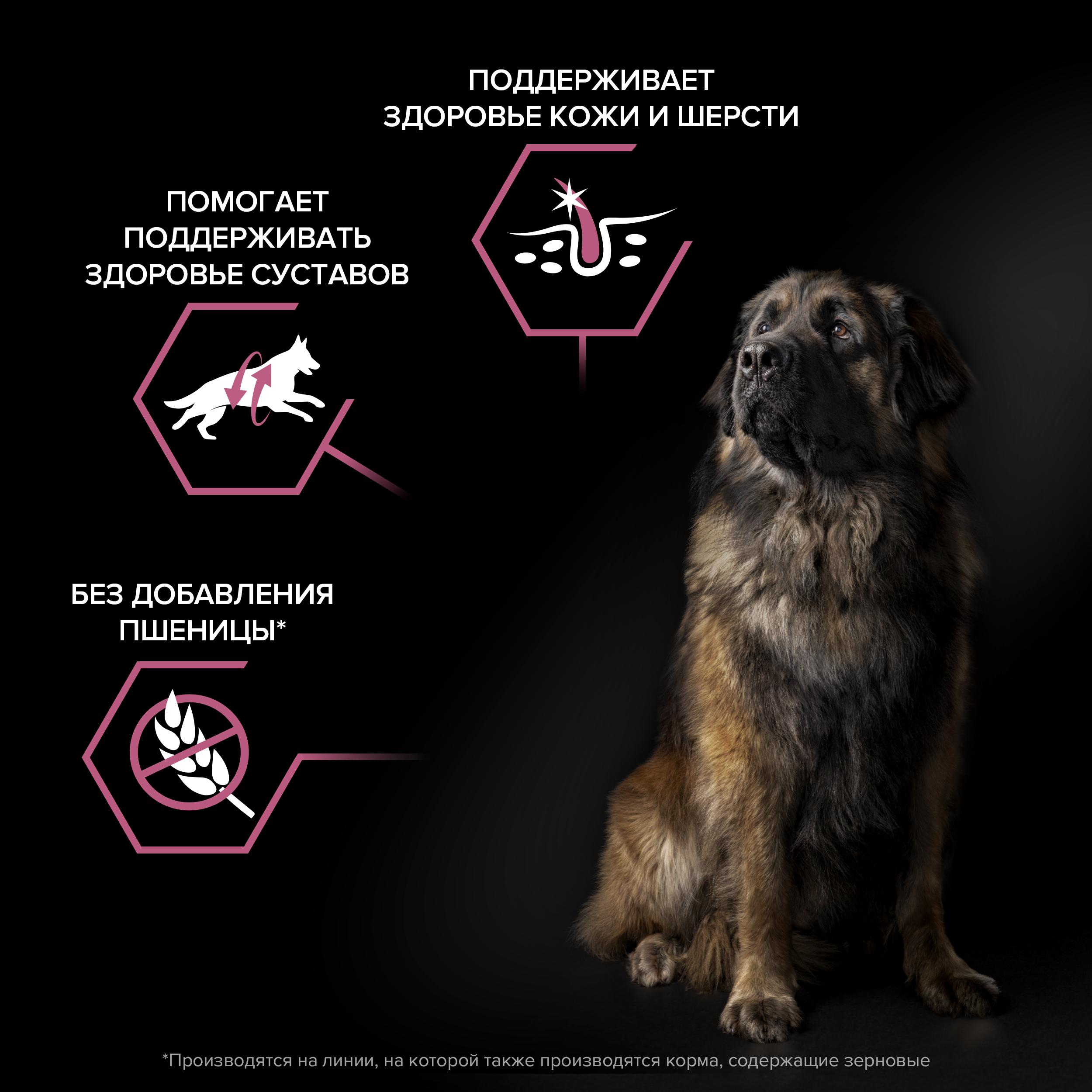 Сухой корм PRO PLAN® SENSITIVE SKIN для взрослых собак крупных пород с мощным телосложением с чувствительной кожей с лососем, 14 кг