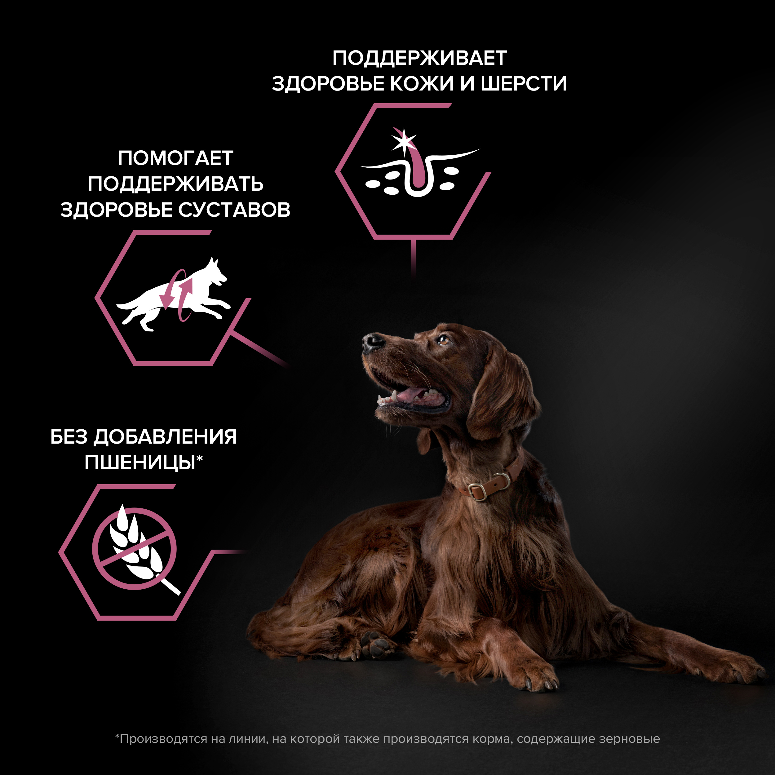 Сухой корм PRO PLAN® SENSITIVE SKIN для взрослых собак крупных пород с атлетическим телосложением с чувствительной кожей с лососем, 14 кг