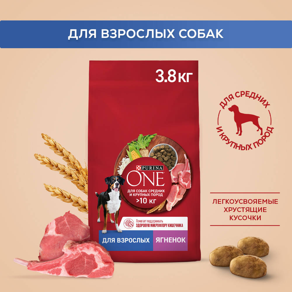 Сухой корм PURINA ONE® для взрослых собак средних и крупных пород с ягненком и рисом, 3,8 кг