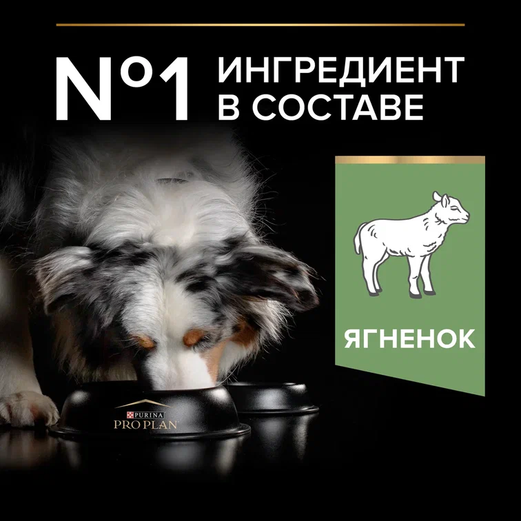 Сухой корм PRO PLAN® SENSITIVE DIGESTION для взрослых собак средних пород с чувствительным пищеварением с ягненком, 1.5 кг