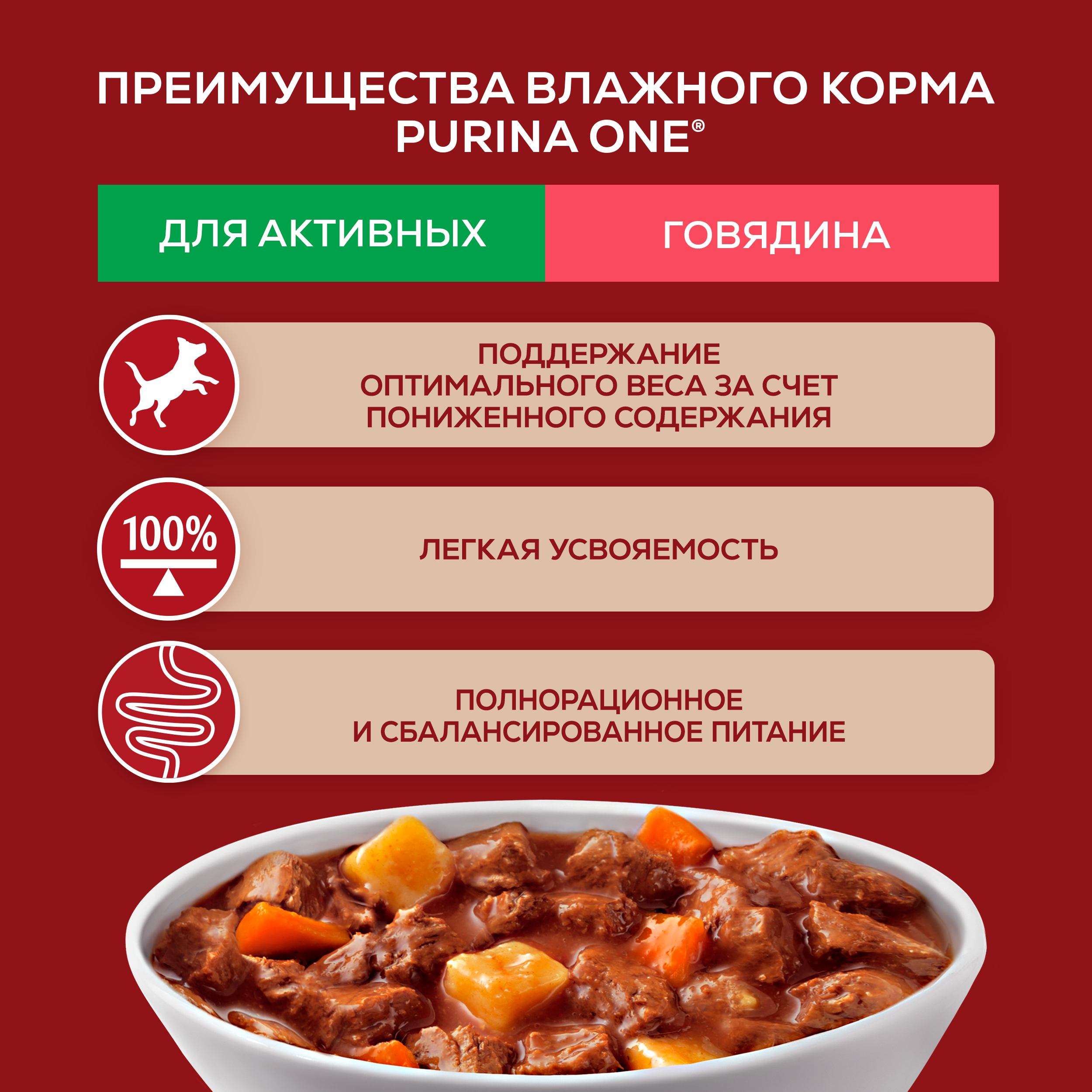 Влажный корм Purina ONE® МИНИ для активных собак мелких и карликовых пород с говядиной, картофелем и морковью в соусе 85 г x 26 шт