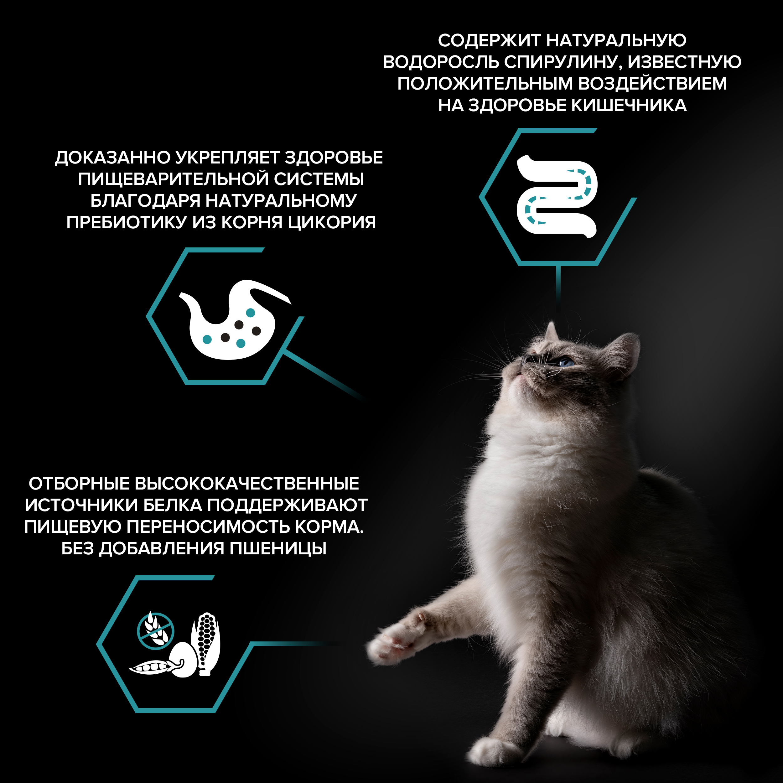 Сухой корм PRO PLAN® Nature Elements DELICATE DIGESTION для кошек при чувствительном пищеварении с индейкой 400 г