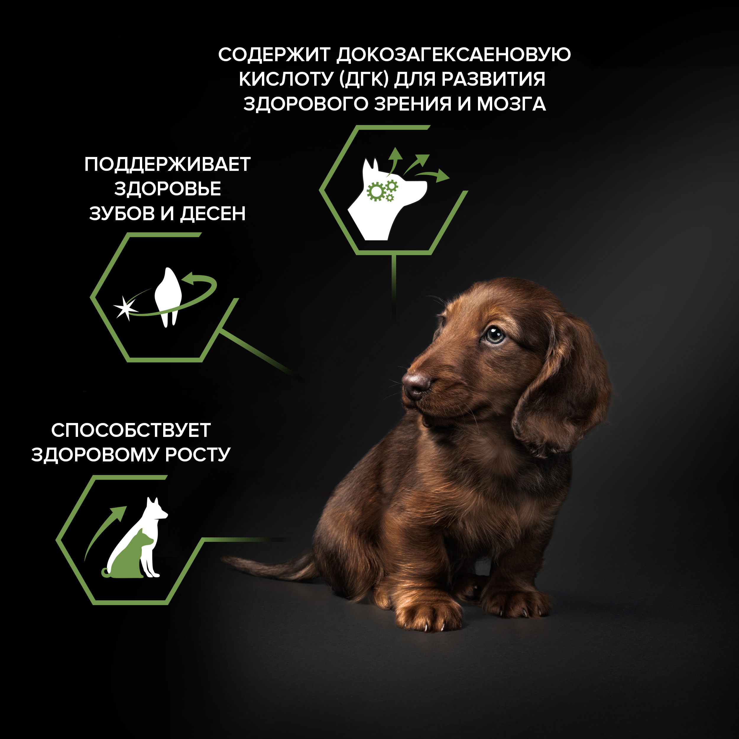 Сухой корм PRO PLAN® HEALTHY START® для щенков мелких и карликовых пород, с курицей, 7 кг