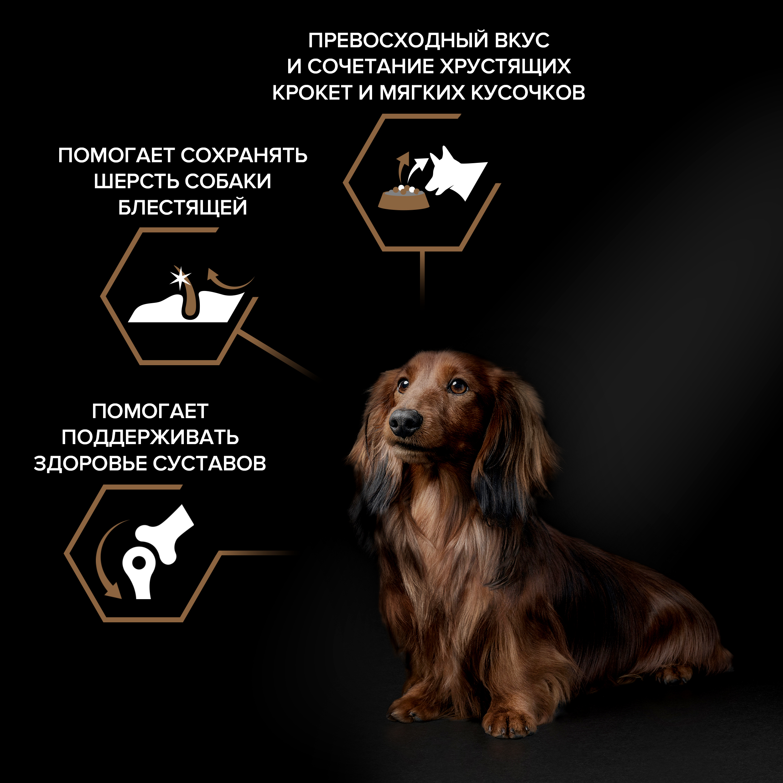 Сухой корм PRO PLAN® DUO DELICE для взрослых собак мелких и карликовых пород с превосходным вкусом и двойной текстурой гранул с говядиной, 2.5 кг