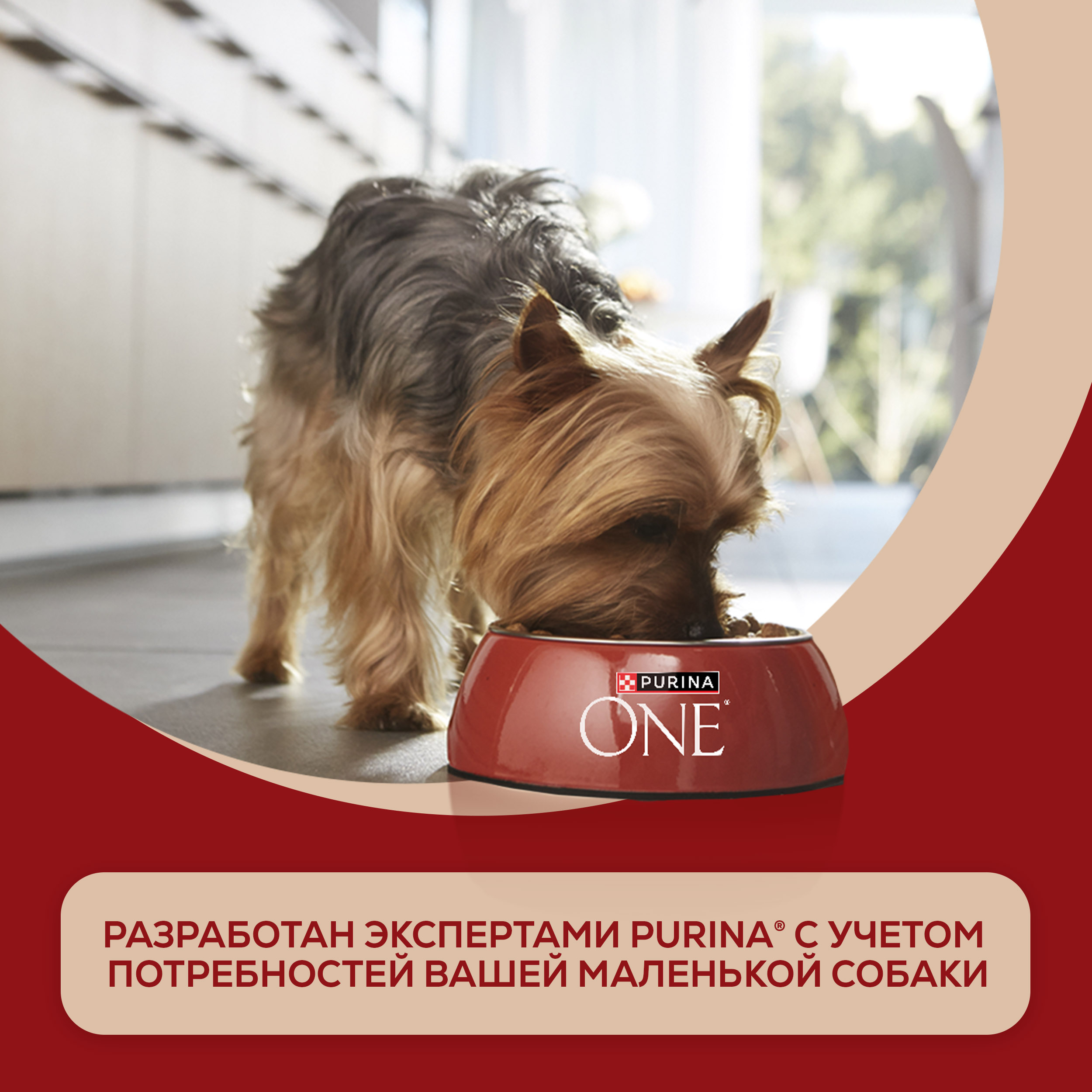Влажный корм Purina ONE® МИНИ для собак мелких и карликовых пород с чувствительным пищеварением с лососем, рисом и морковью в соусе 85 г x 26 шт