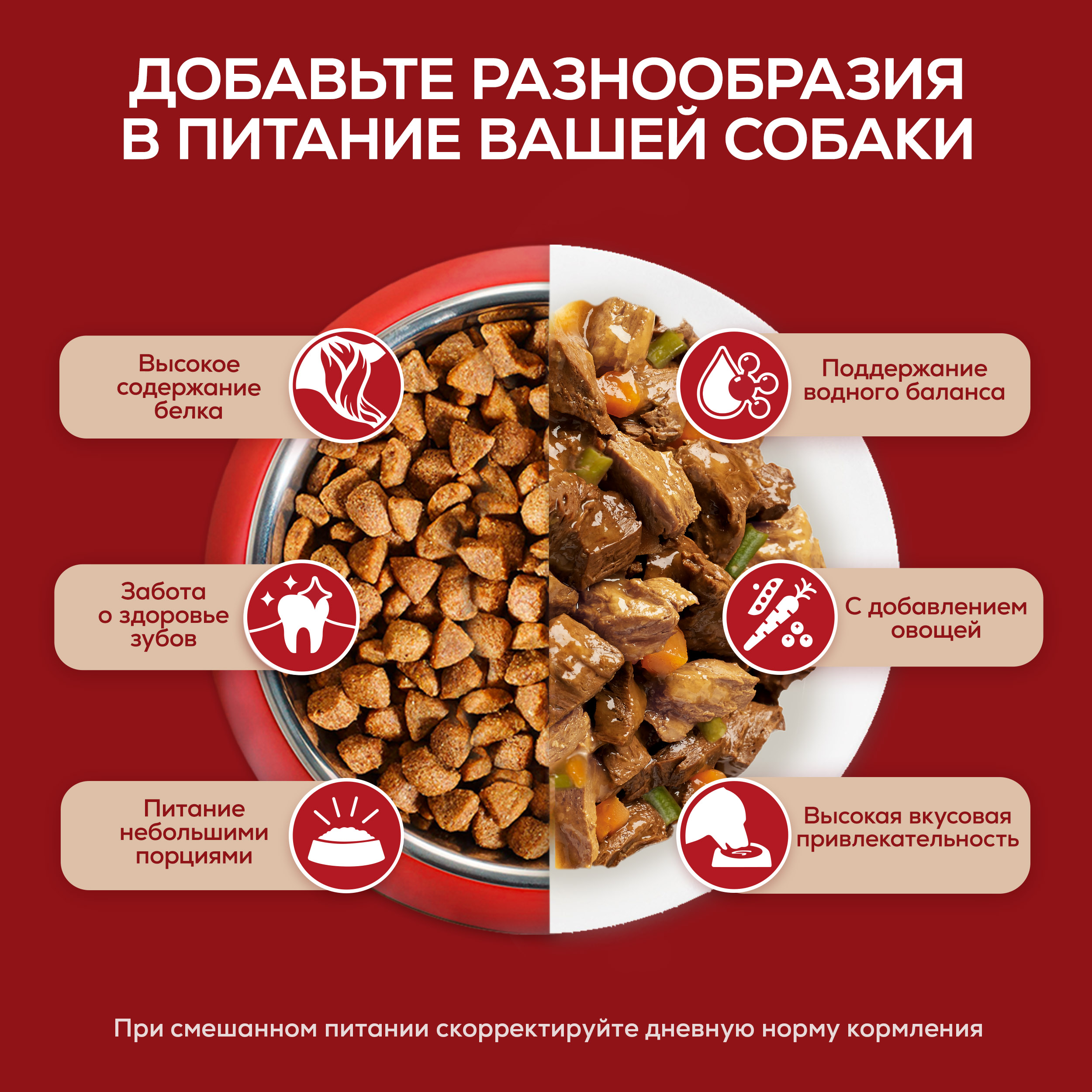 Влажный корм Purina ONE® МИНИ для собак мелких и карликовых пород с чувствительным пищеварением с лососем, рисом и морковью в соусе 85 г x 26 шт