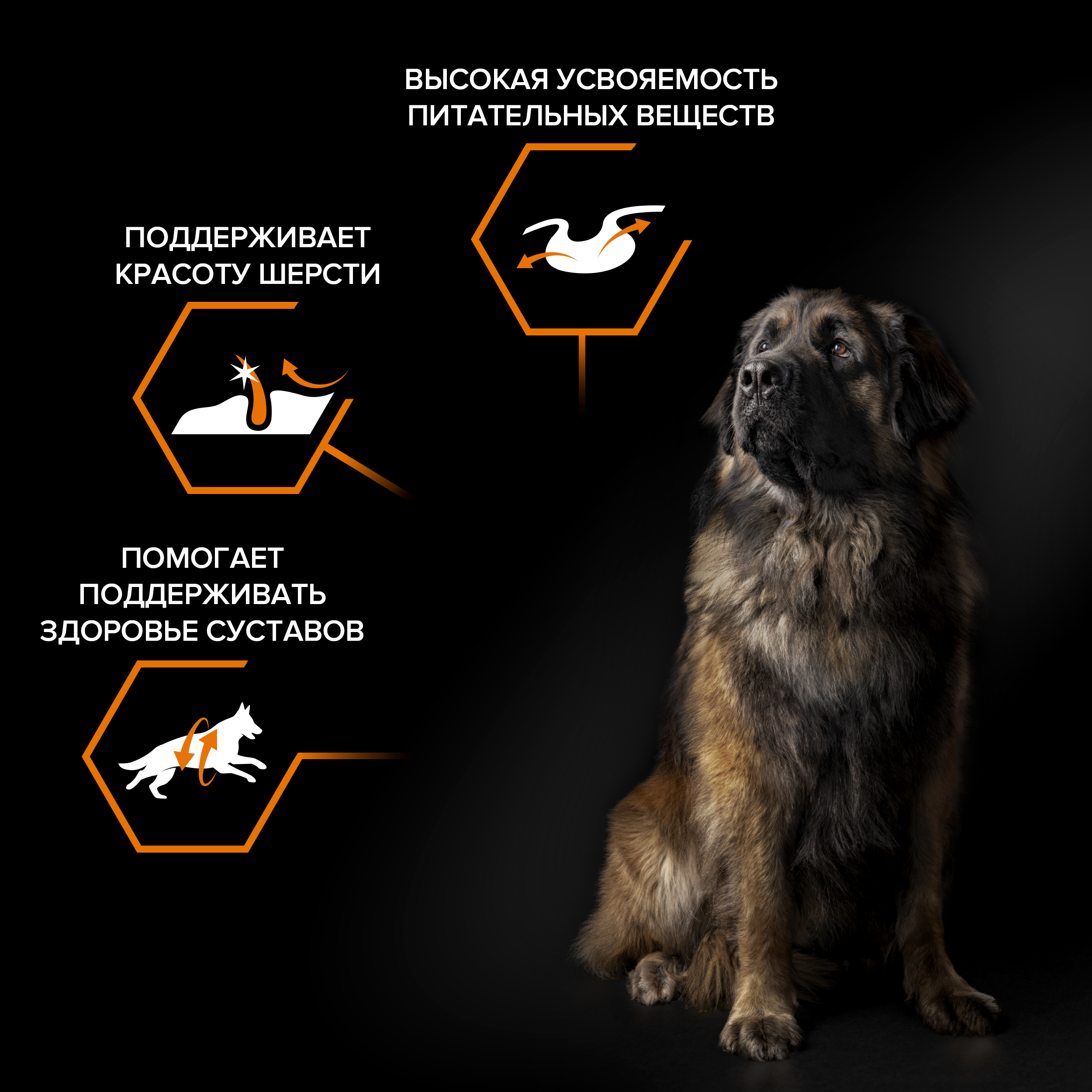 Сухой корм PRO PLAN® EVERYDAY NUTRITION для взрослых собак крупных пород с мощным телосложением с курицей, 14 кг