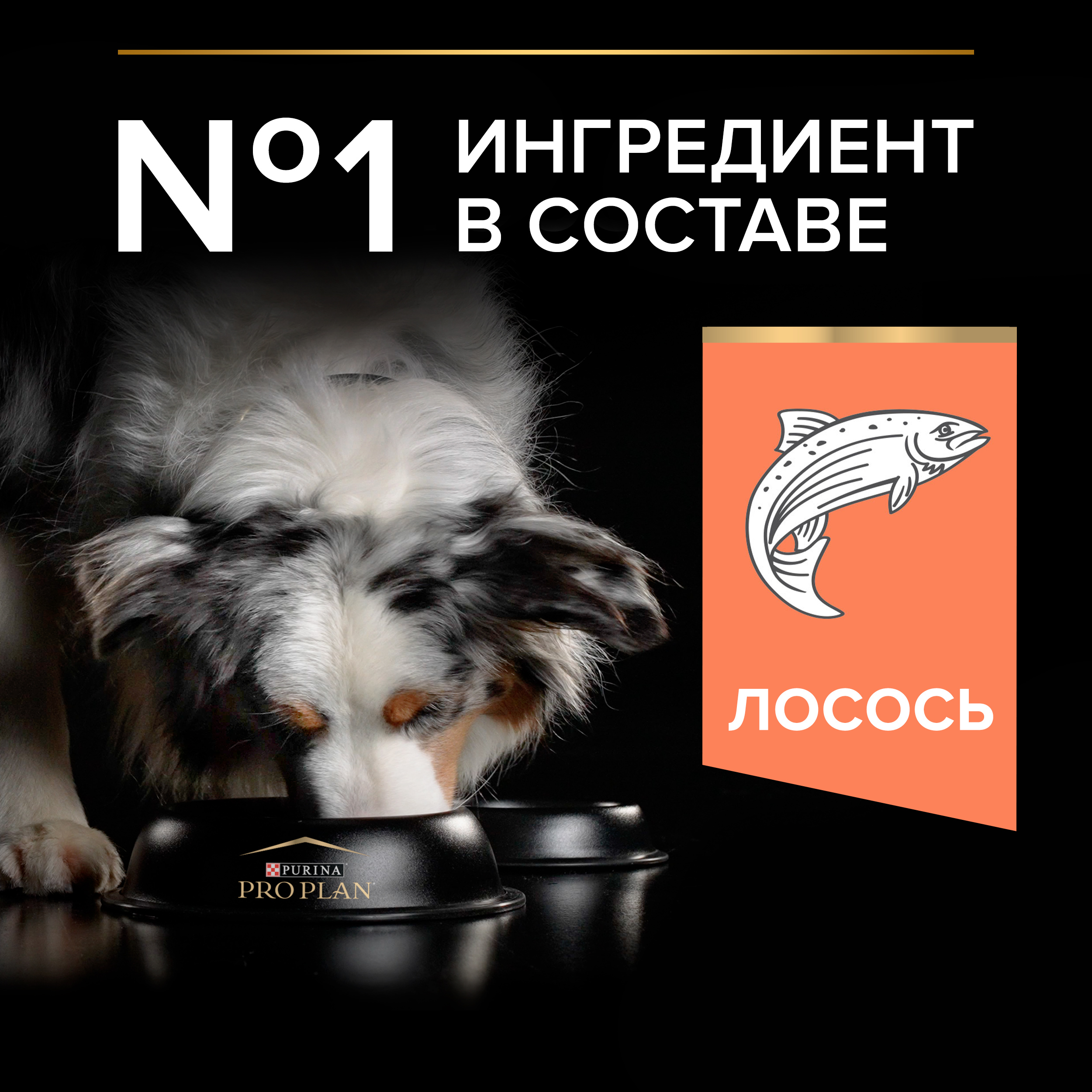 Сухой корм PRO PLAN® SENSITIVE SKIN для взрослых собак средних пород с чувствительной кожей с лососем, 7 кг