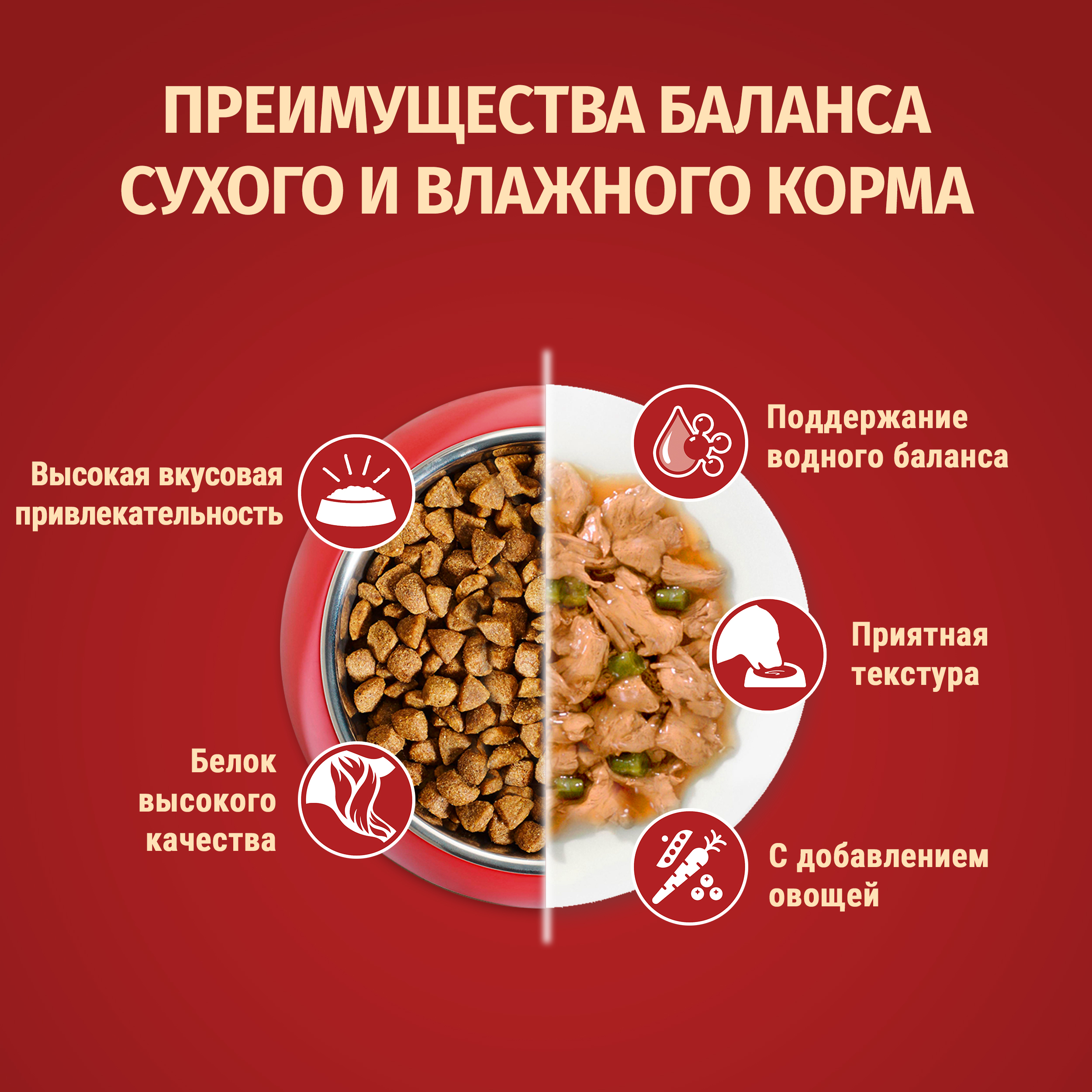Сухой корм Purina ONE® МИНИ для взрослых собак, с говядиной и с рисом, 1,5 кг