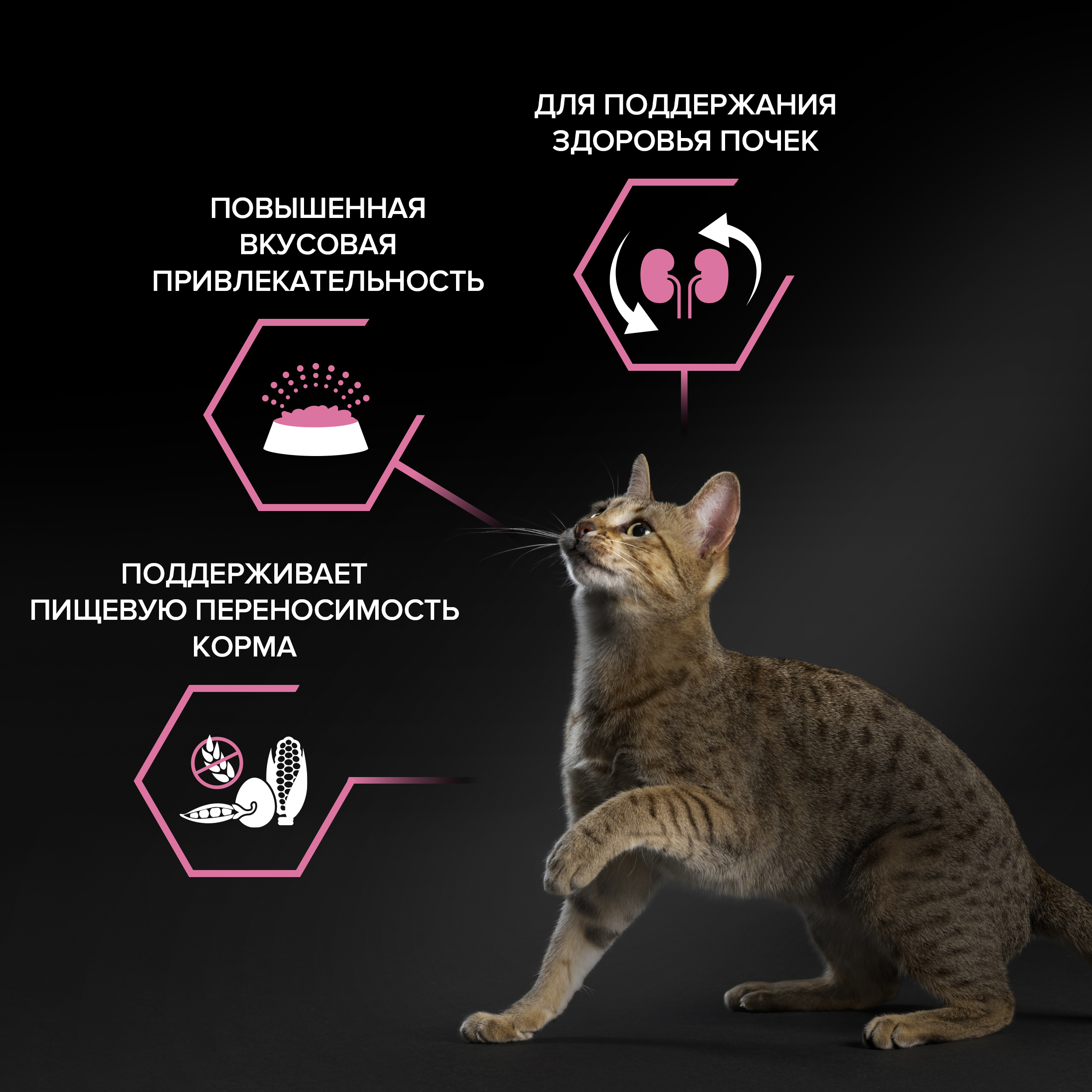 Сухой корм PRO PLAN® DELICATE DIGESTION для кошек для чувствительного пищеварения с ягненком 400 г