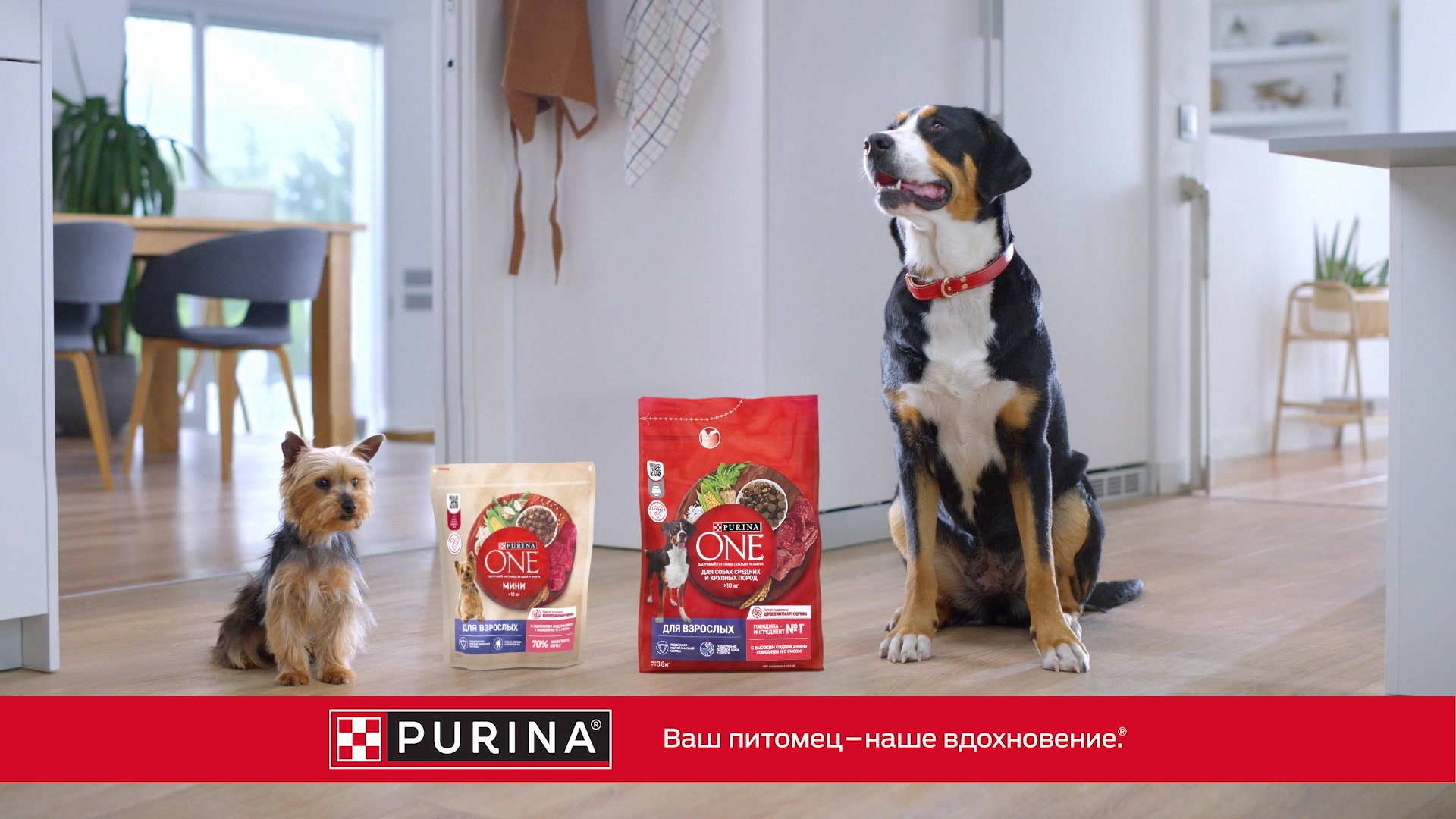 Сухой корм Purina ONE® МИНИ для собак мелких пород, склонных к набору веса или стерилизованных с индейкой и рисом 1.5 кг