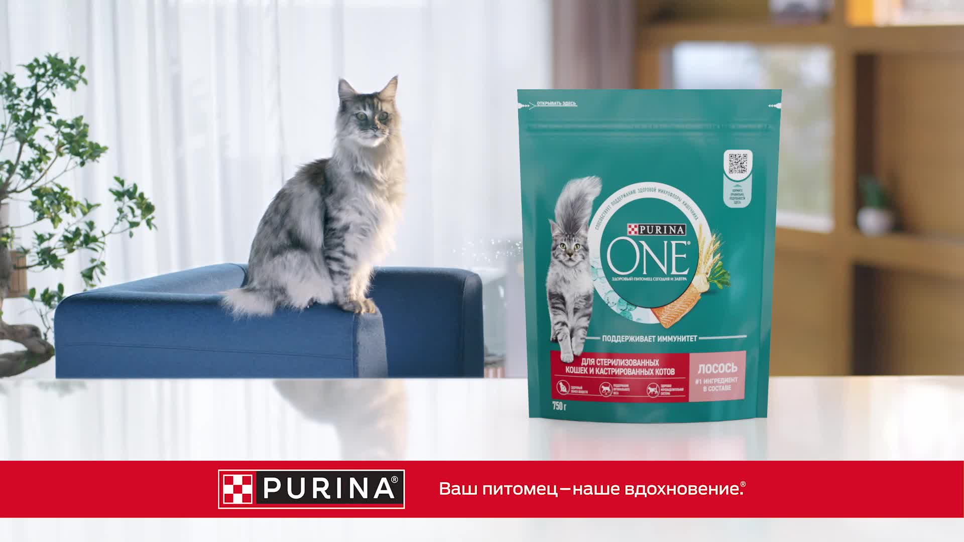 Сухой корм PURINA ONE® для кошек особенно привередливых к вкусу с уткой и печенью, 750 г