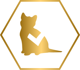 feed icon