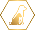 feed icon