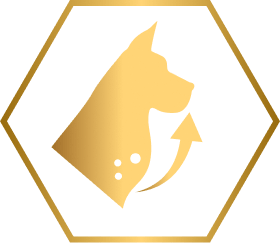 feed icon