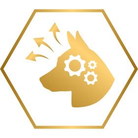 feed icon