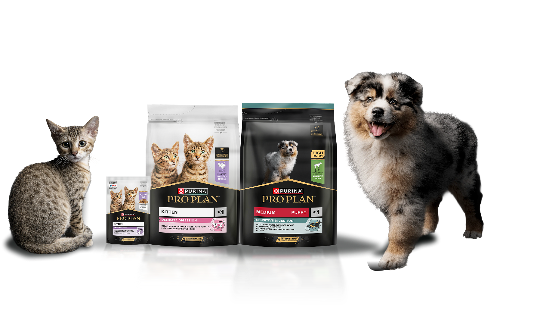 Корм Purina