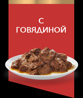 с говядиной