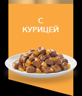 с курицей