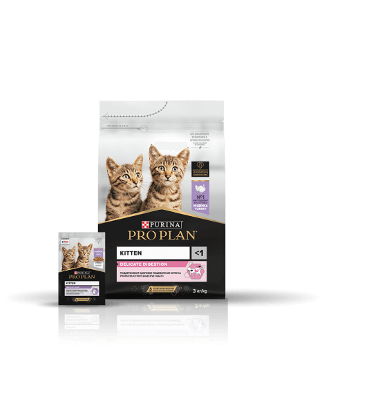 cat packs