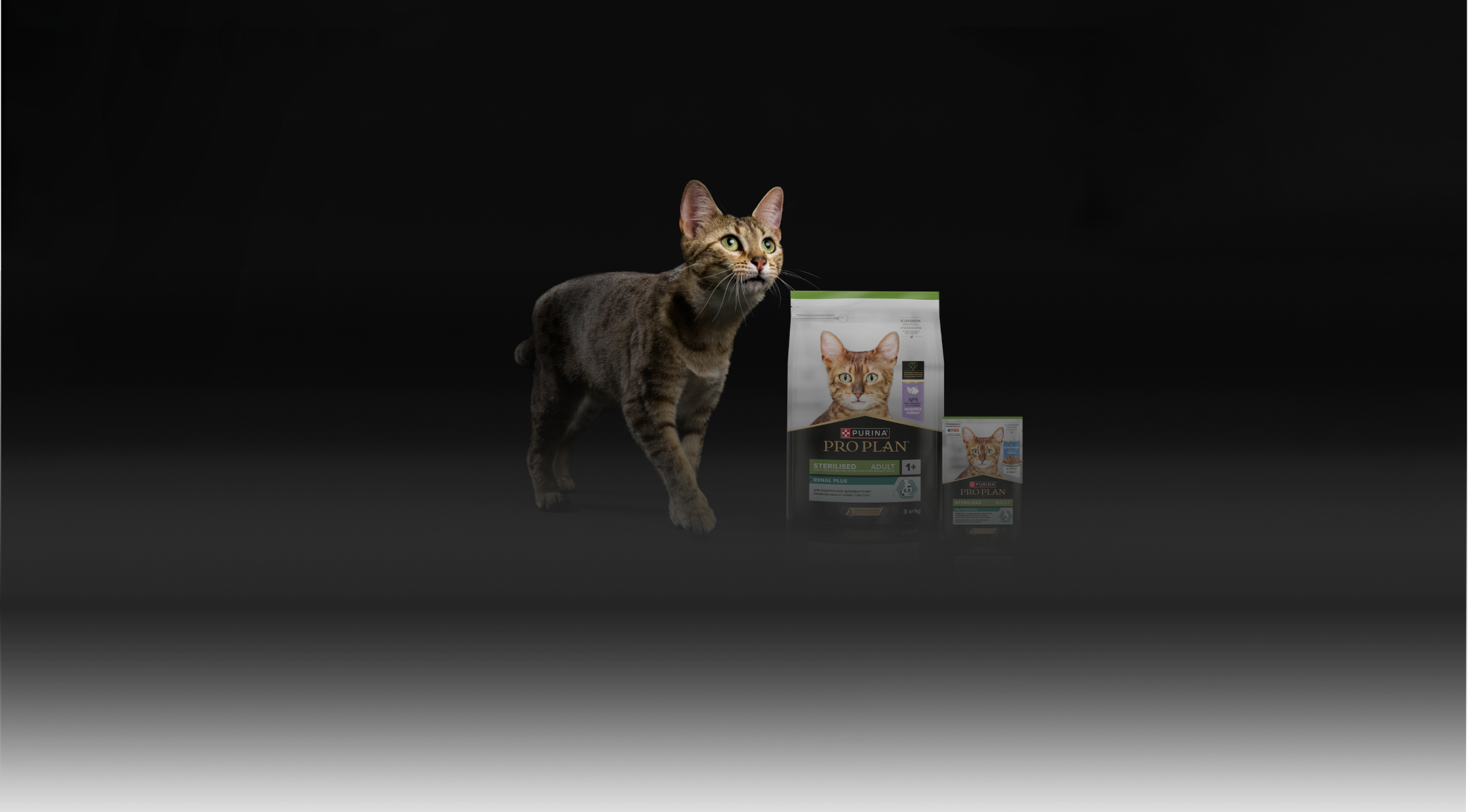 Корм Purina
